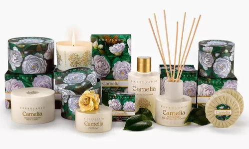 意大利必buy化妝品與日常用品 化妝護膚品詞匯大全