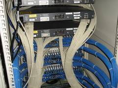 綜合布線服務與型號規格詳解，配套會展服務解決方案